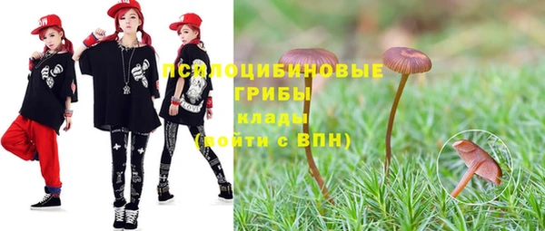 PSILOCYBIN Алексеевка