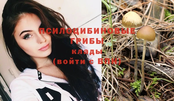 a pvp Алзамай